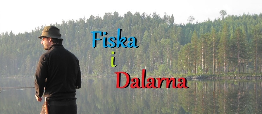 fid-framsidebild
